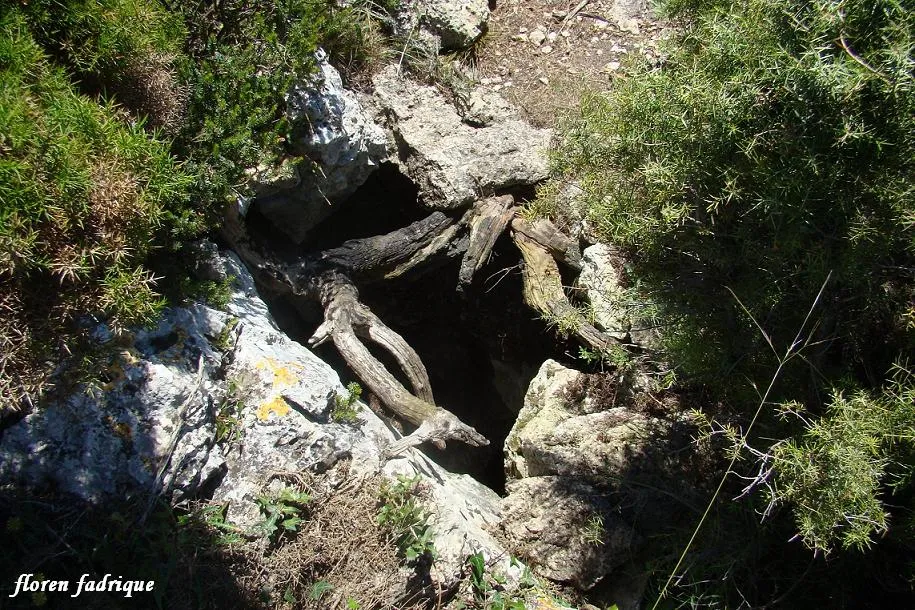 Avenc de la Cabra