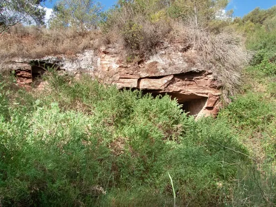 Cova de la Torre de les Monges