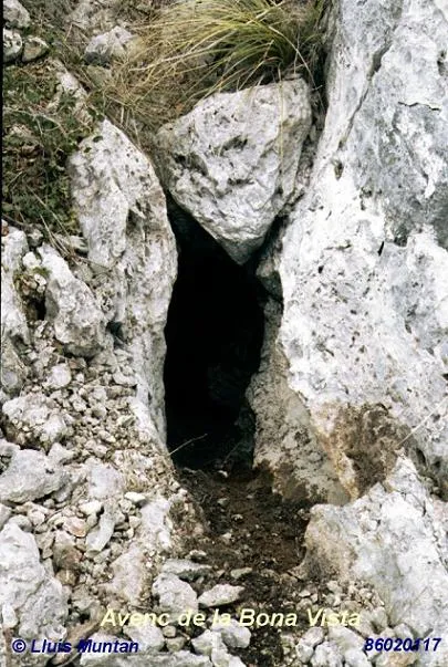 Avenc de la Bona Vista