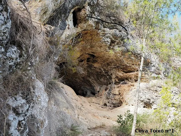 Coves del Toixó