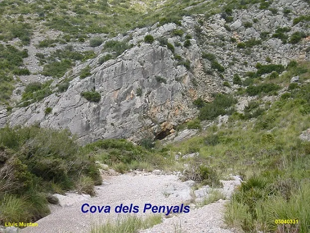 Coveta dels Penyals