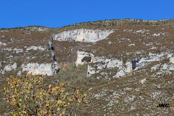 Balma de la Cambra dels Bocs