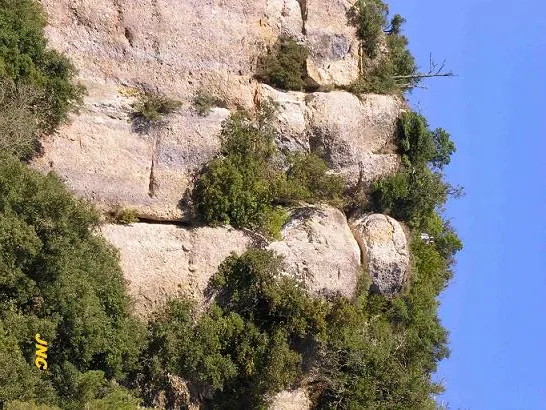 Cova dels Talps