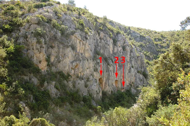 Cova Nº3 del Duc