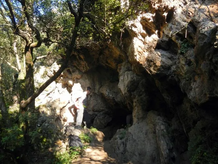 Cavorca de Roca Andera