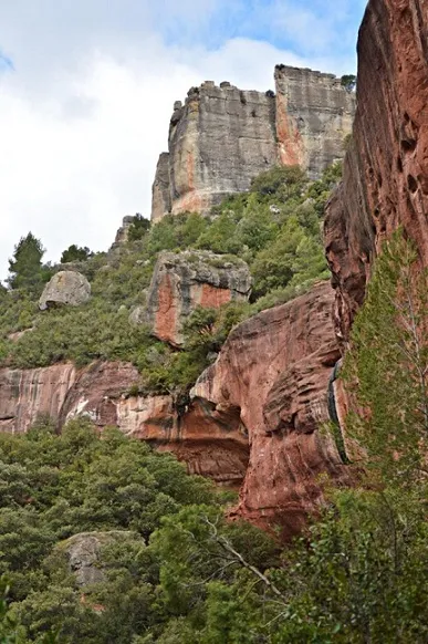 Cova Nº2 del Titi