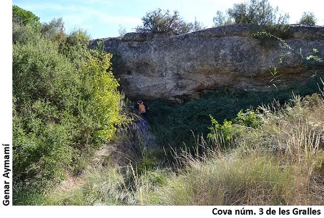 Cova Nº3 de les Gralles