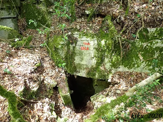 Cova de la Sala