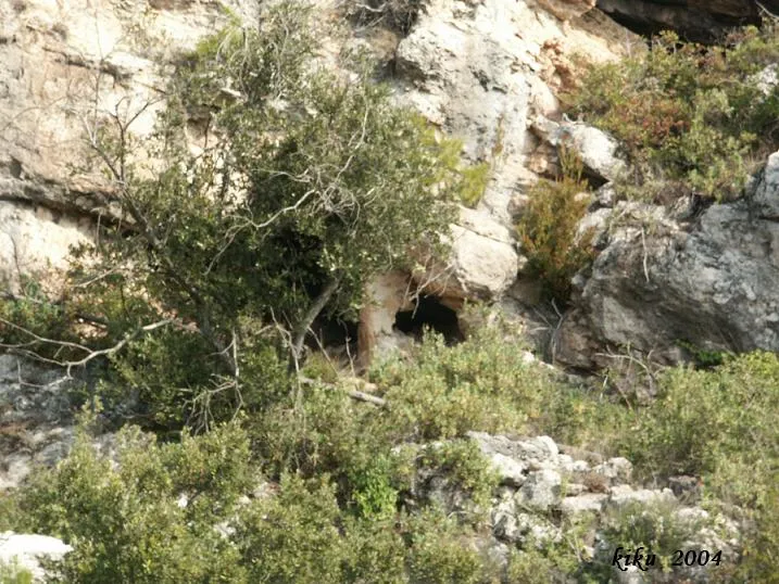 Cova Gran de Santa Anna