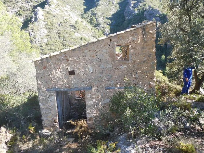 Avenc de Palanques