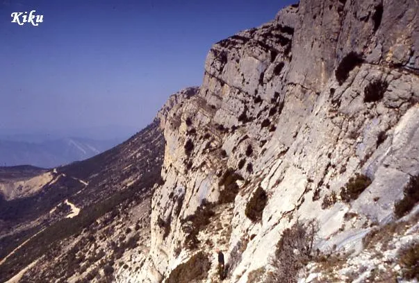 Cova de Montardit