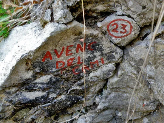 Avenc del Camí