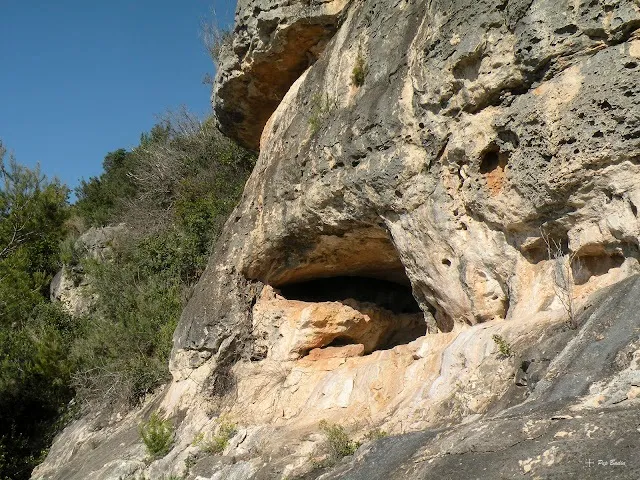 Cova Petita de Ferranes