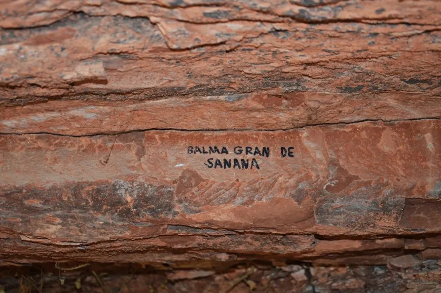 Foto Balma Gran de Sanana