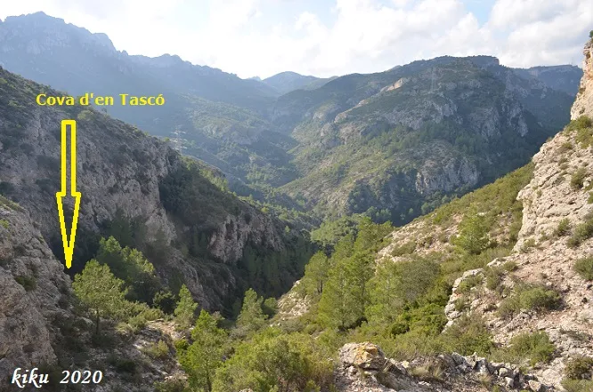 Cova d'en Tascó