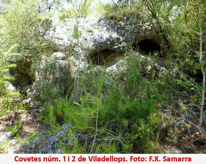 Covetes de Viladellops