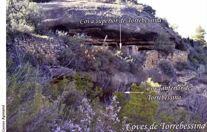 Cova Superior de Torrebessina