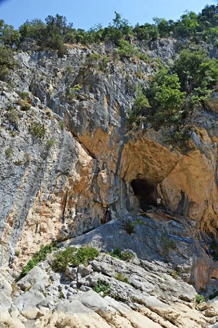 Cova de Coll Roig