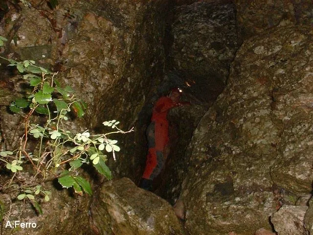 Cova del Fondal