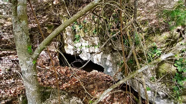 Cova del Rec de les Muntanyetes