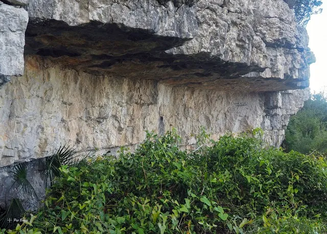 Cova de les Carrasques