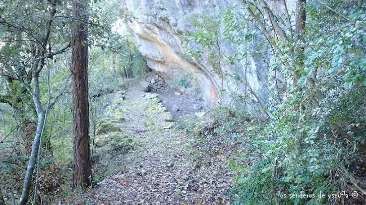 Cova del Roquero