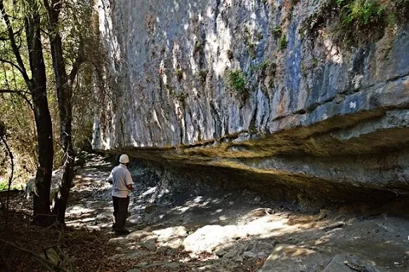 Balma del Sunyer de Baix