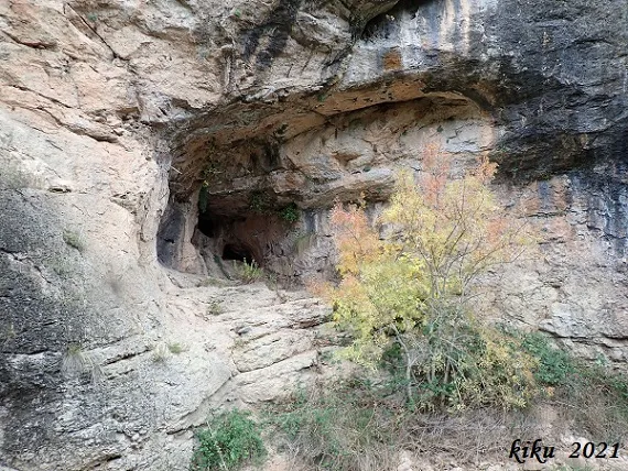 Balma dels Lladres