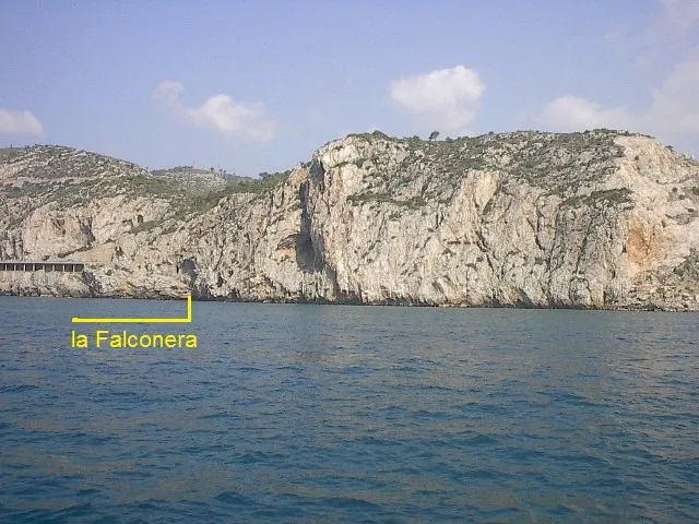 la Falconera