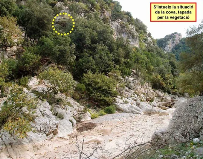 Cova de la Riera d'escales