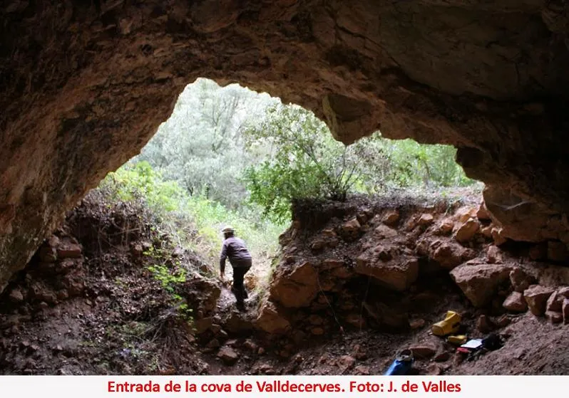 Cova de Valldecerves