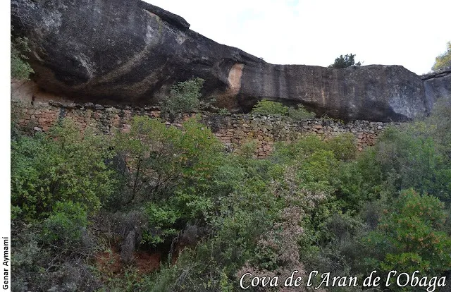 Cova de l'Aran de l'obaga