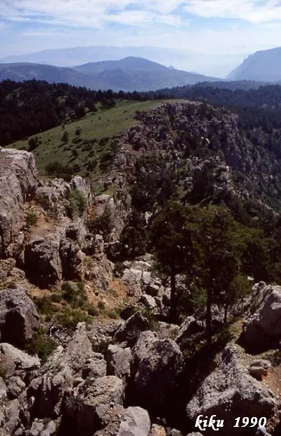 Forats de la Neu