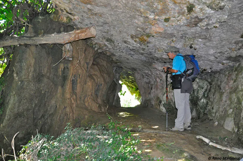 Forat Micó