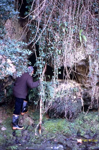 Balma del Pont Nou