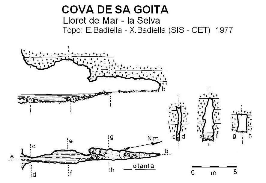 Cova de Sa Goita