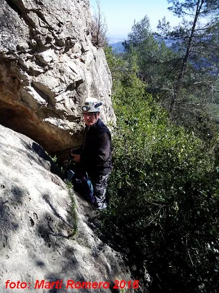 Coveta Nº2 de la Serra del Cúpol