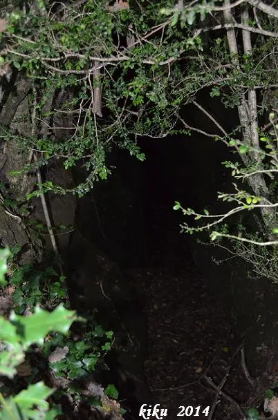 Forat del Llaurador