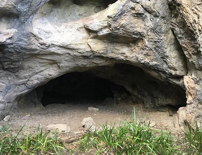 Cova Muria