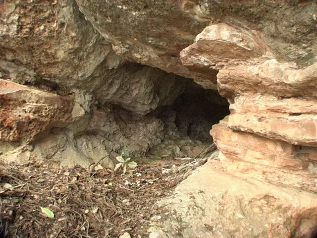 Cova del Reixac