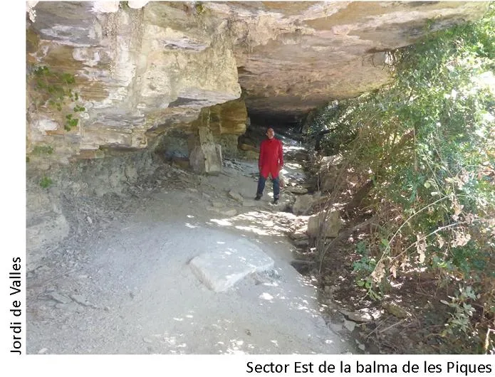 Balma de les Piques