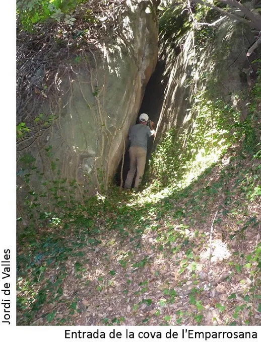 Cova de l'Emparrosana