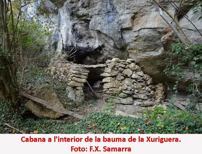 Bauma de la Xuriguera