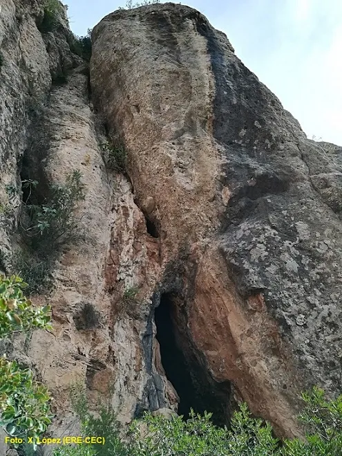 Cova C.3 del Salnitre