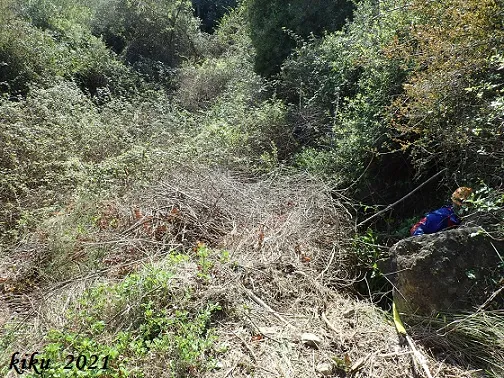 Forats del Terratrèmol