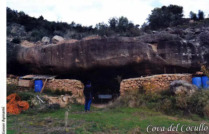 Cova del Cocullo