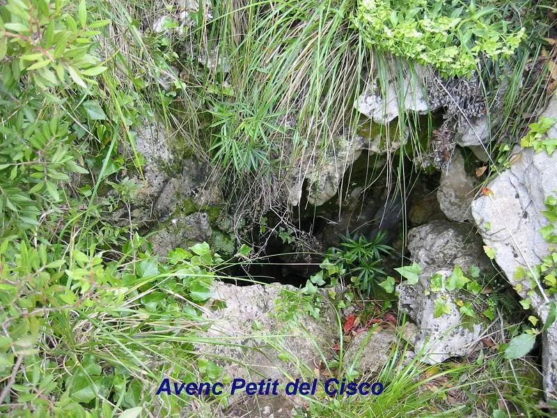 Avenc Petit del Cisco