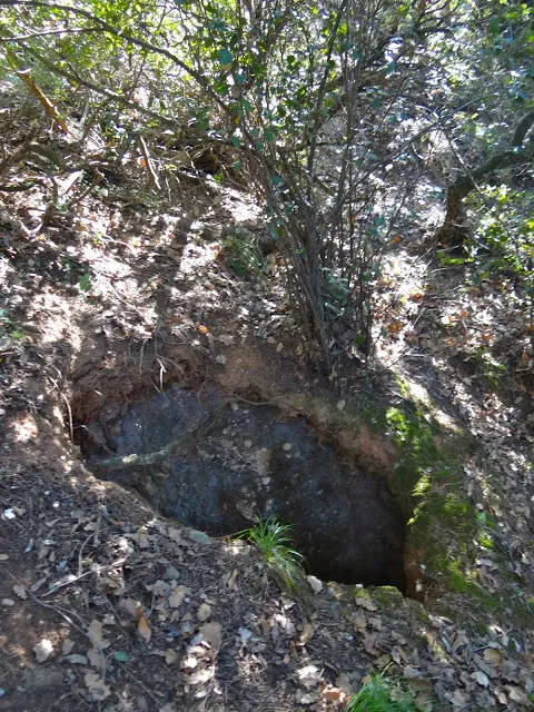 Avenc de Mata-rodona