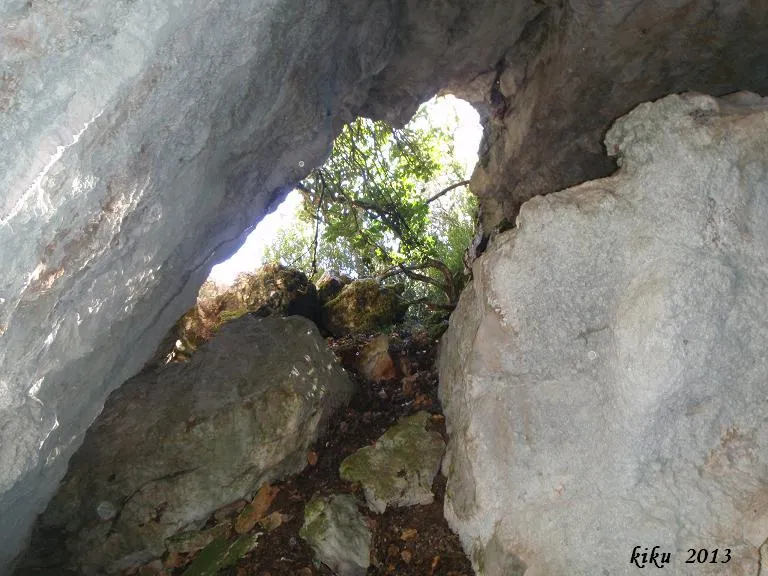 Avenc del Grèvol
