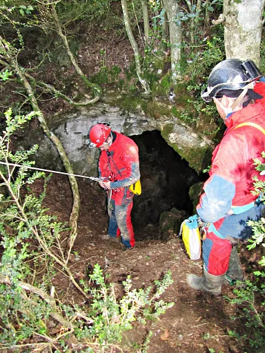 Avenc del Grèvol